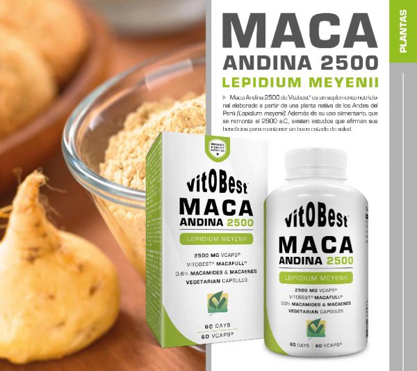 MACA ANDINA 2500 60CP