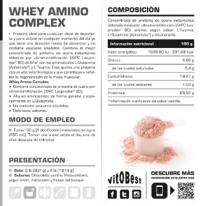 WHEY AMINO COMPLEX CHOCOLATE 500GR