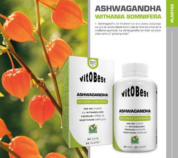 ASHWAGANDHA 60CP