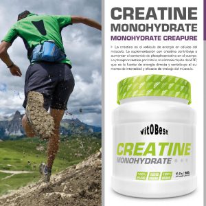 CREATINE VITOBEST 500GR