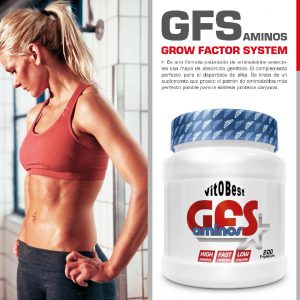 GFS AMINOS MELON 340GR